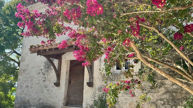 A rustic stone building with a wooden door and steps leading to a porch. - Private swimming pool - Charming Quercy stone house (Roquecor)