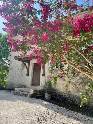Exterior - Private swimming pool - Charming Quercy stone house (Roquecor)