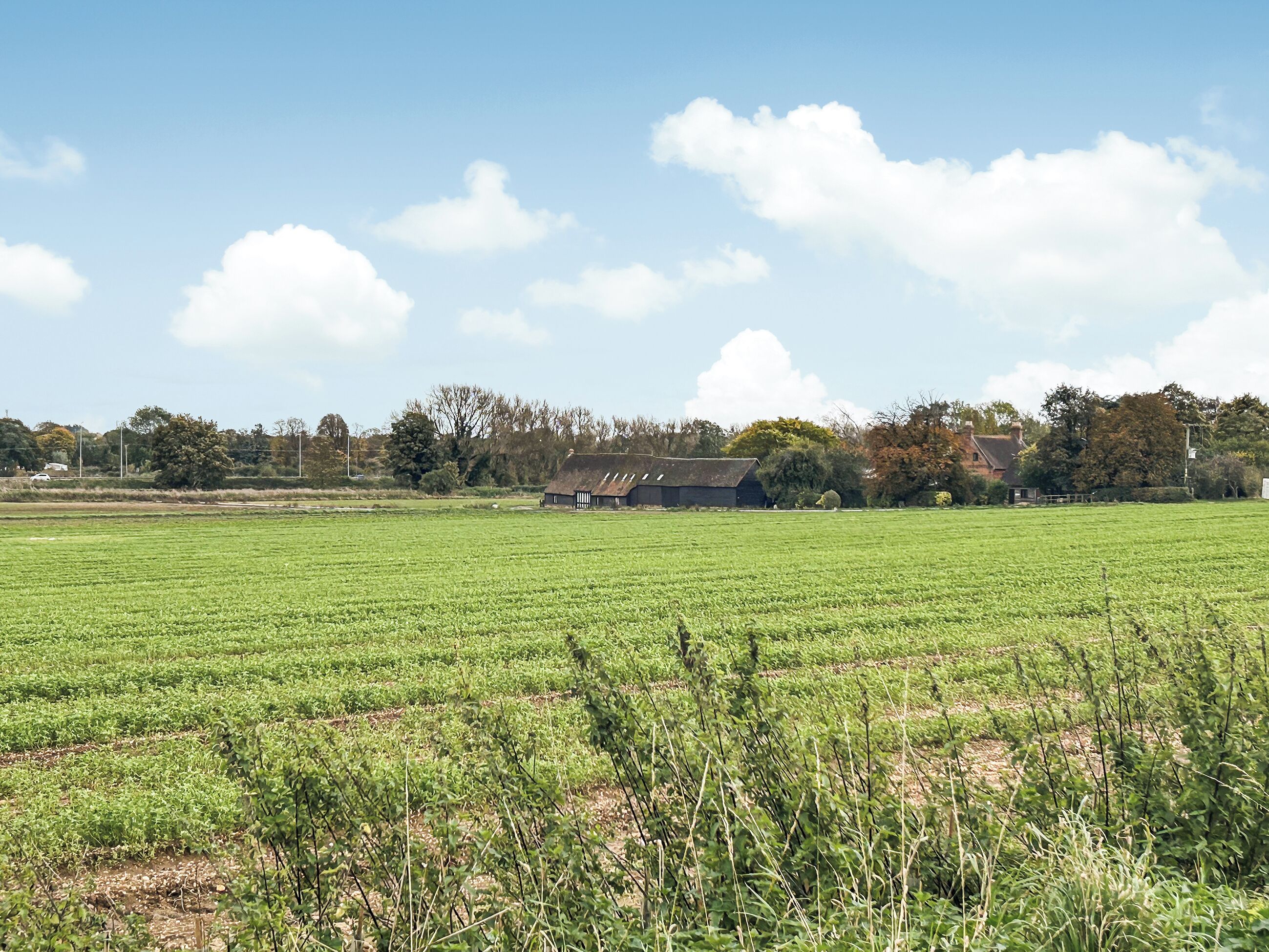 A rural landscape with a large green field, a farmhouse, and trees in the background.