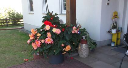 Haus am Wald