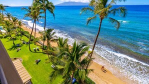 A beach with palm trees, a clear blue ocean, and a mountain in the distance.