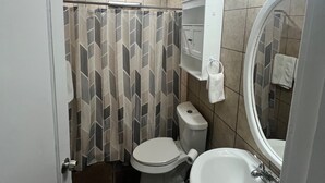 A bathroom with a shower, toilet, sink, and a mirror.