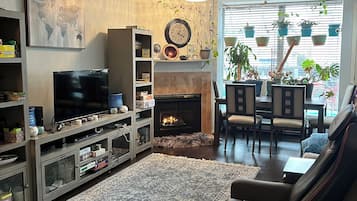 TV, fireplace, video games, DVD player