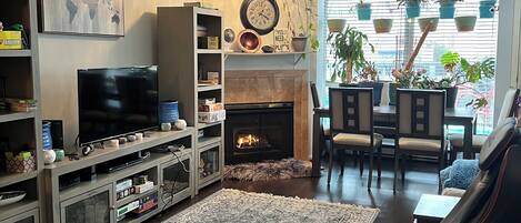 TV, fireplace, video games, DVD player