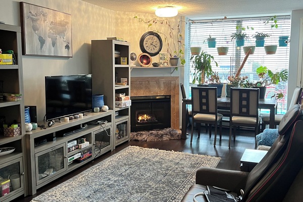 TV, fireplace, video games, DVD player