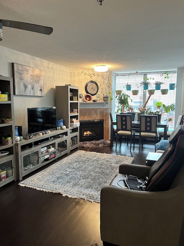 Télévision, cheminée, jeux vidéo, lecteur de DVD