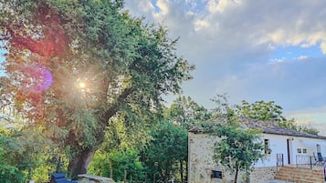 Un bâtiment rustique en pierre, avec un petit jardin, un banc en bois et un arbre au premier plan.