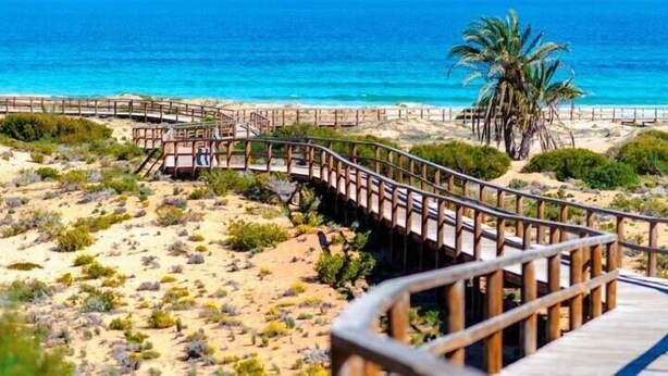 A wooden boardwalk leading to a beach with clear blue water and a palm tree.