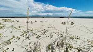 Ein Strand mit Dünen, spärlicher Vegetation und blauem Himmel.