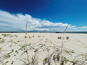 On the beach