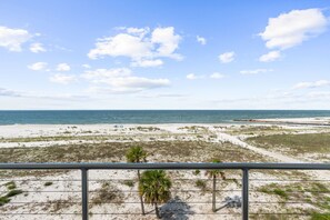 Blick auf einen Strand mit blauem Himmel, Sanddünen und vereinzelten Palmen.