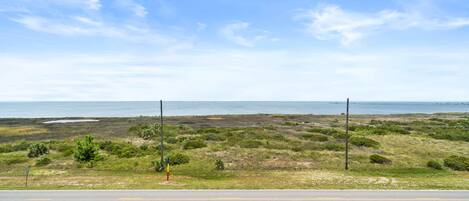 A coastal road with a grassy landscape and a clear sky.