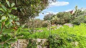 A garden with a stone wall, greenery, and a metal structure.
