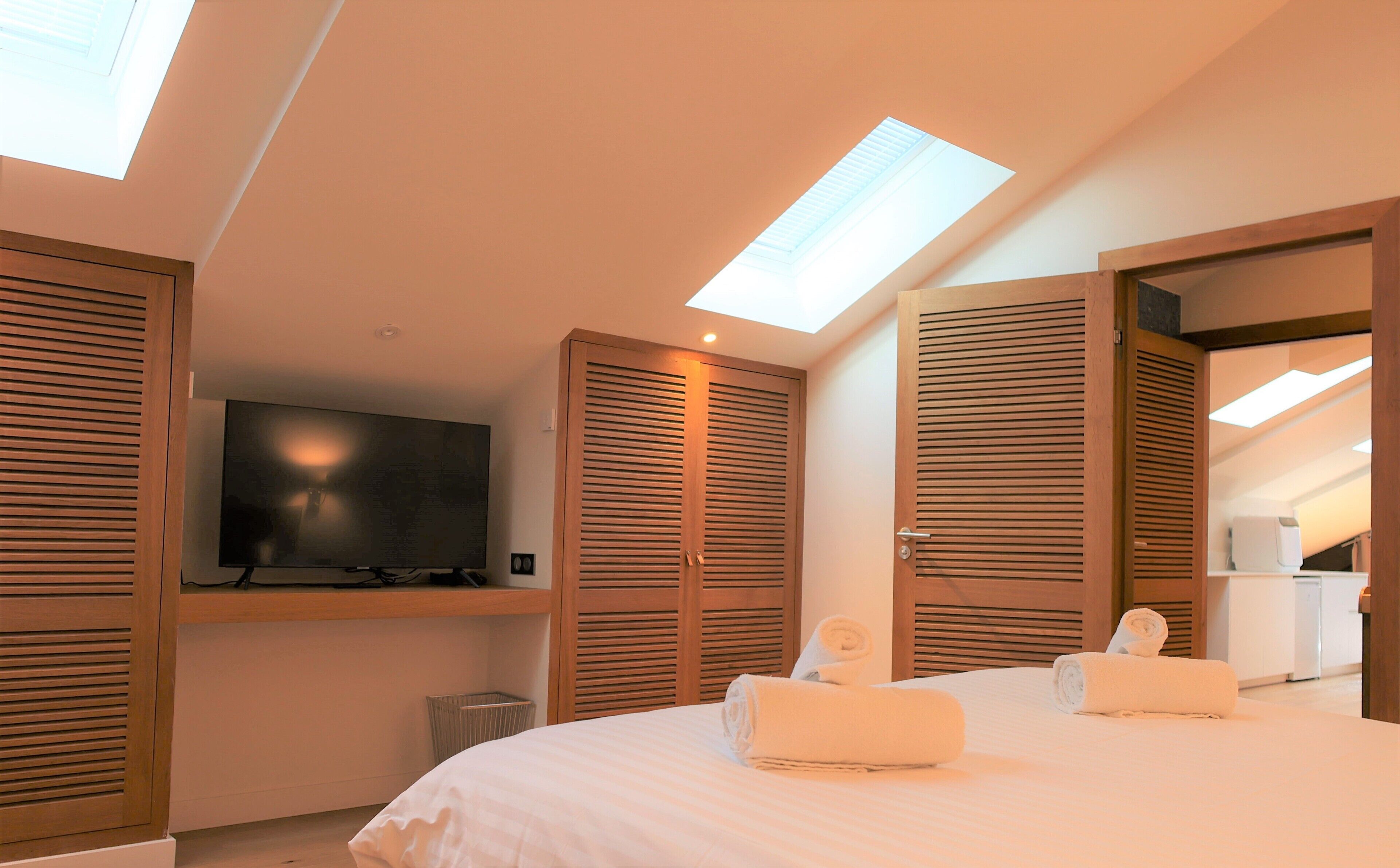 A bedroom with a large bed, a television, wooden louvered closets, and skylights.