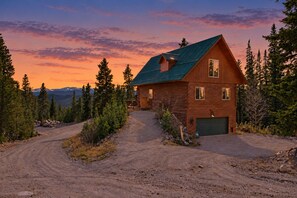 A log cabin with a green roof, a dirt driveway, and a mountainous backdrop.