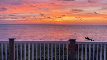 Terrain de l’hébergement