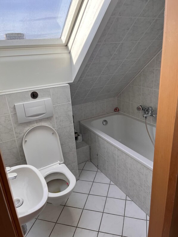 A bathroom with a skylight, a bathtub, and two toilets.