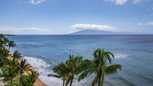 Une plage bordée de palmiers, avec vue sur l’océan.