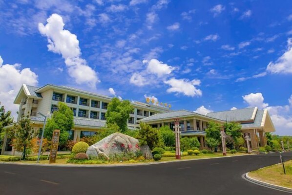 Ảnh chưa phân loại, 1 trong số 89 ảnh, nút