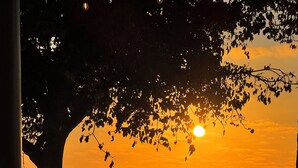 Un área de descanso frente a la playa con mesas y sillas de madera, con vista al océano al atardecer.