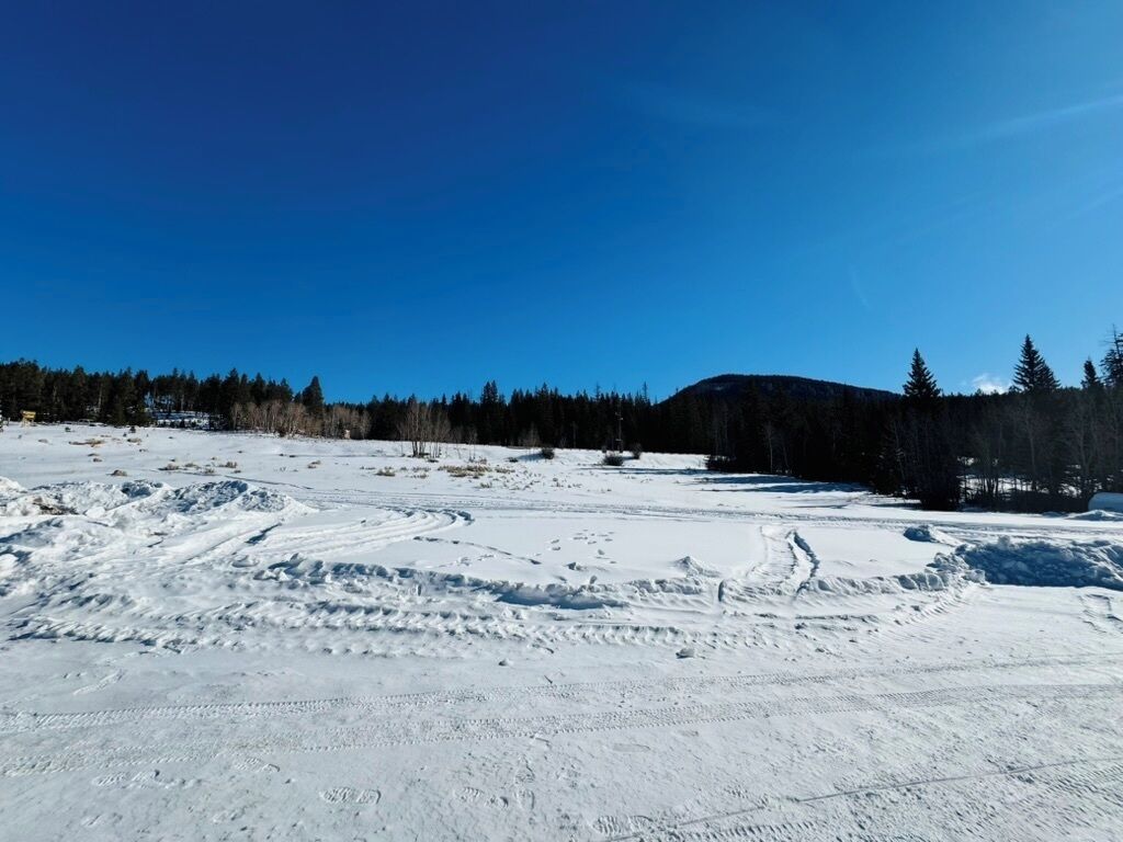A snowy landscape with a clear sky, a forest in the background, and visible tire tracks on the snow.