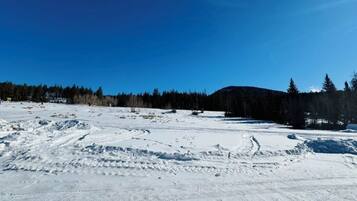 A snowy landscape with a clear sky, a forest in the background, and visible tire tracks on the snow.