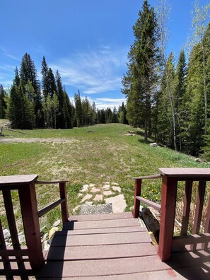 A wooden staircase leading to a grassy area with trees in the background.