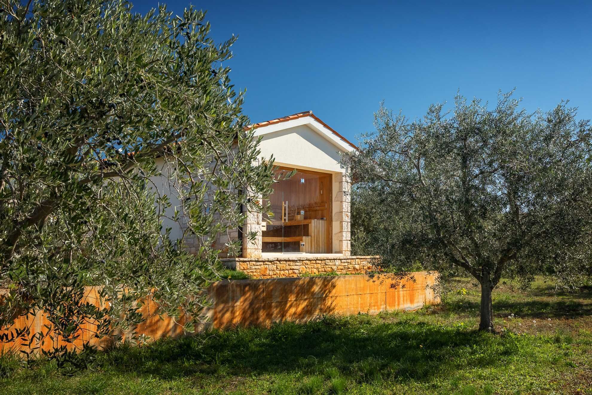 A modern house with a stone base and a white upper structure, surrounded by olive trees.