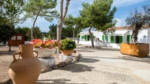 Un patio con una maceta grande de terracota, una maceta más pequeña con flores y una jardinera de madera.