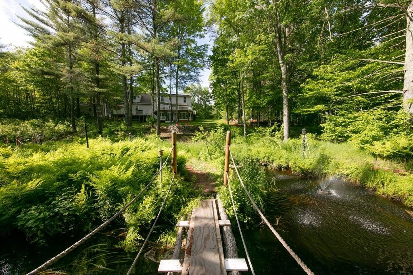 En træbro over en å i et skovområde med frodig vegetation og et hus i baggrunden.