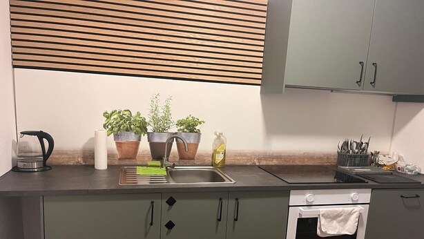 A kitchen with a built-in oven, a sink, and a coffee maker. There are three potted plants on the counter. - NR 6 ground floor 3 ZKB for families and companies (Fuldatal)