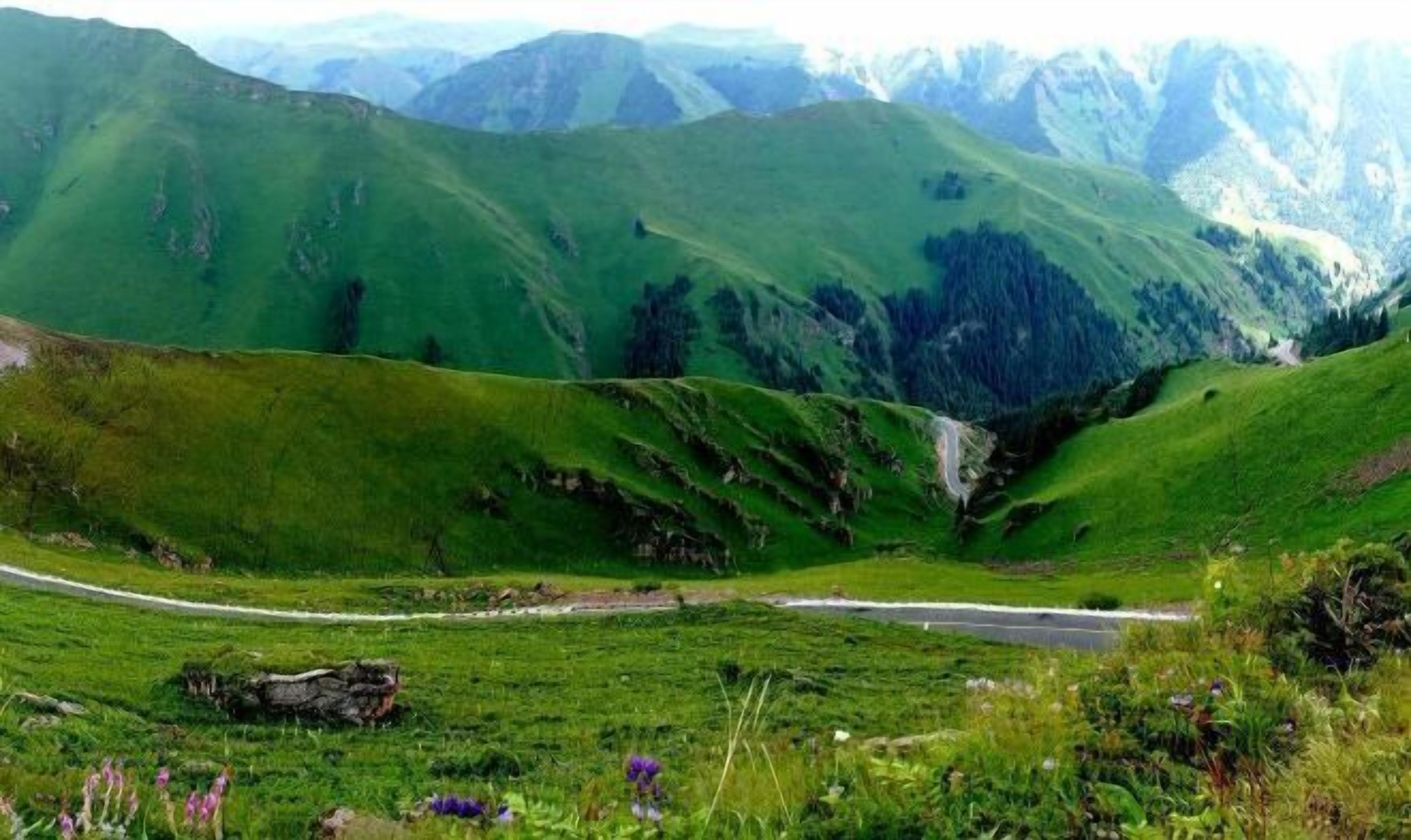 Un paysage montagneux traversé par une route sinueuse.