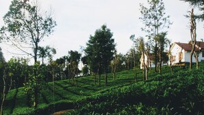 A tea plantation with terraced fields and a white building in the background. - Tea Terrace Vythiri Resort (Vythiri)