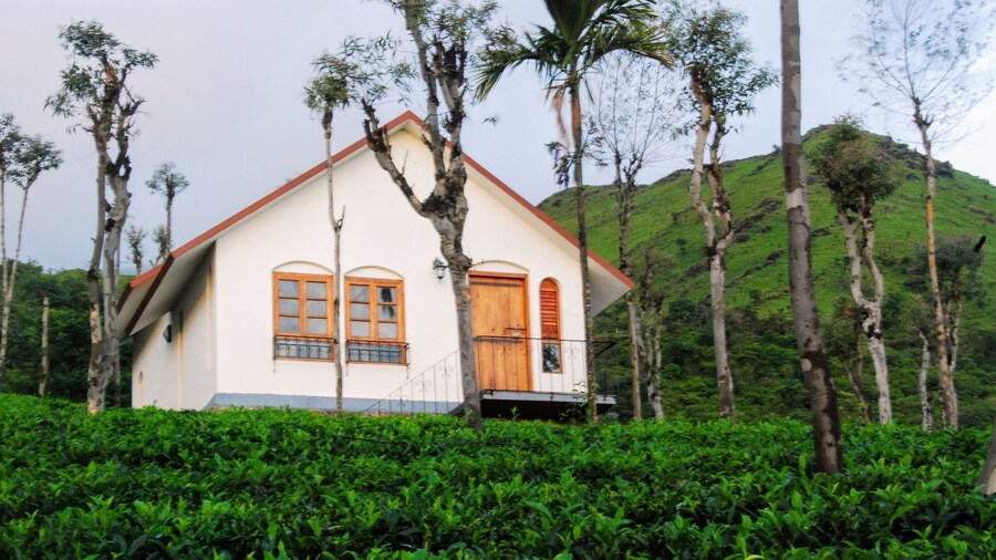 Tea Terrace Vythiri Resort