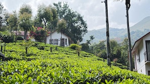 A white building with a red roof, surrounded by lush green tea plantations and tropical vegetation. - Tea Terrace Vythiri Resort (Vythiri)