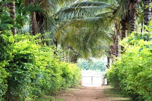 Fachada da propriedade