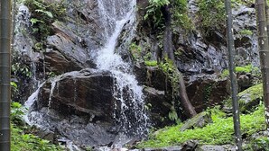 Une personne se tient sur des rochers près d’une cascade, dans une zone boisée.