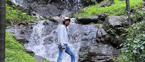 A person standing on rocks near a waterfall in a forested area.