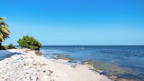 Ein Strand mit klarem Wasser, einer felsigen Küstenlinie und einer Palme.
