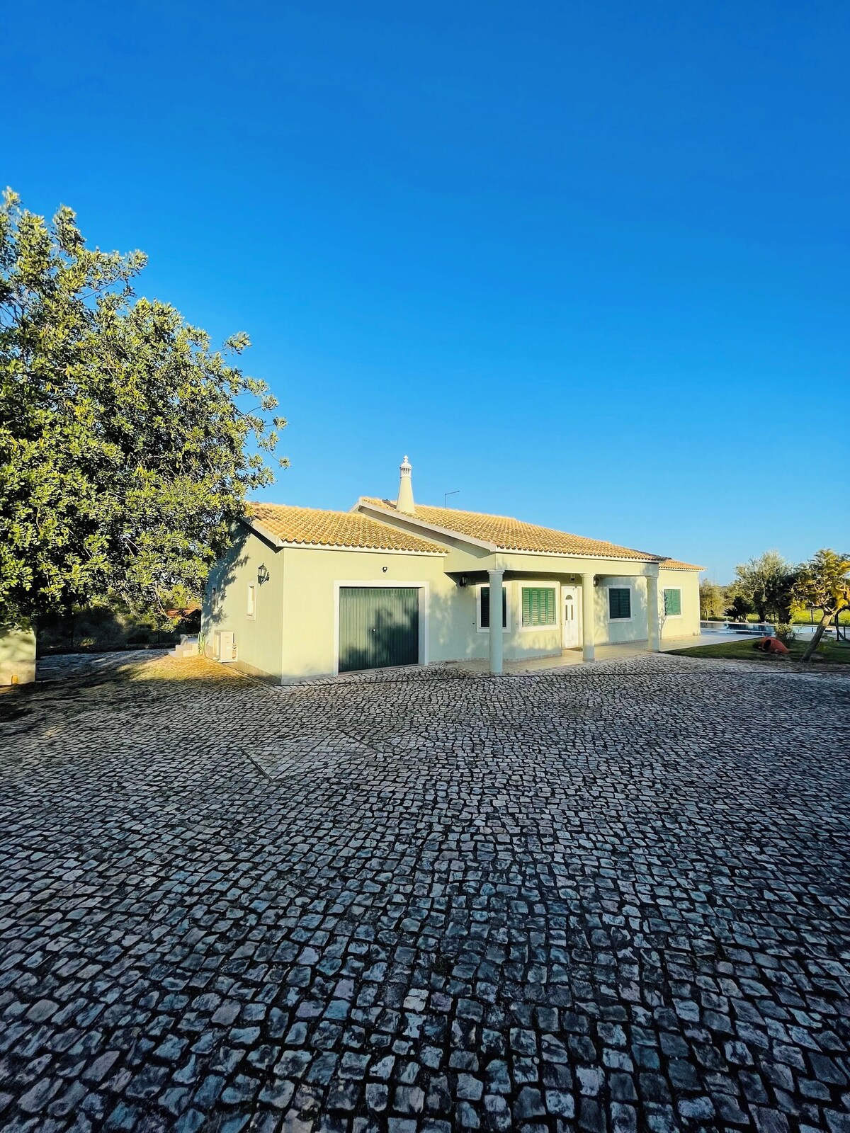 Imagen de perfil del propietario o de la propietaria