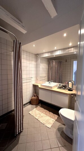 A modern bathroom with a shower, toilet, and vanity with a mirror.