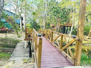 Exterior - Howler Jungle House (Burrell Boom)