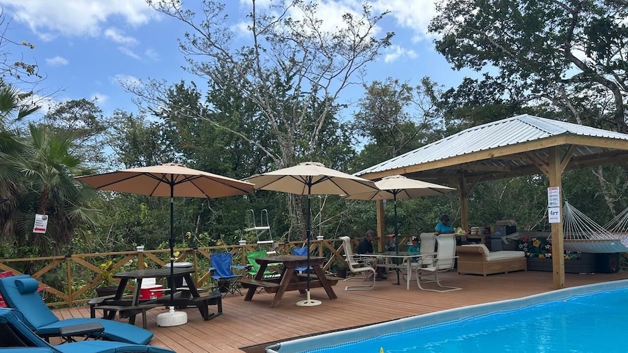 Howler Jungle House