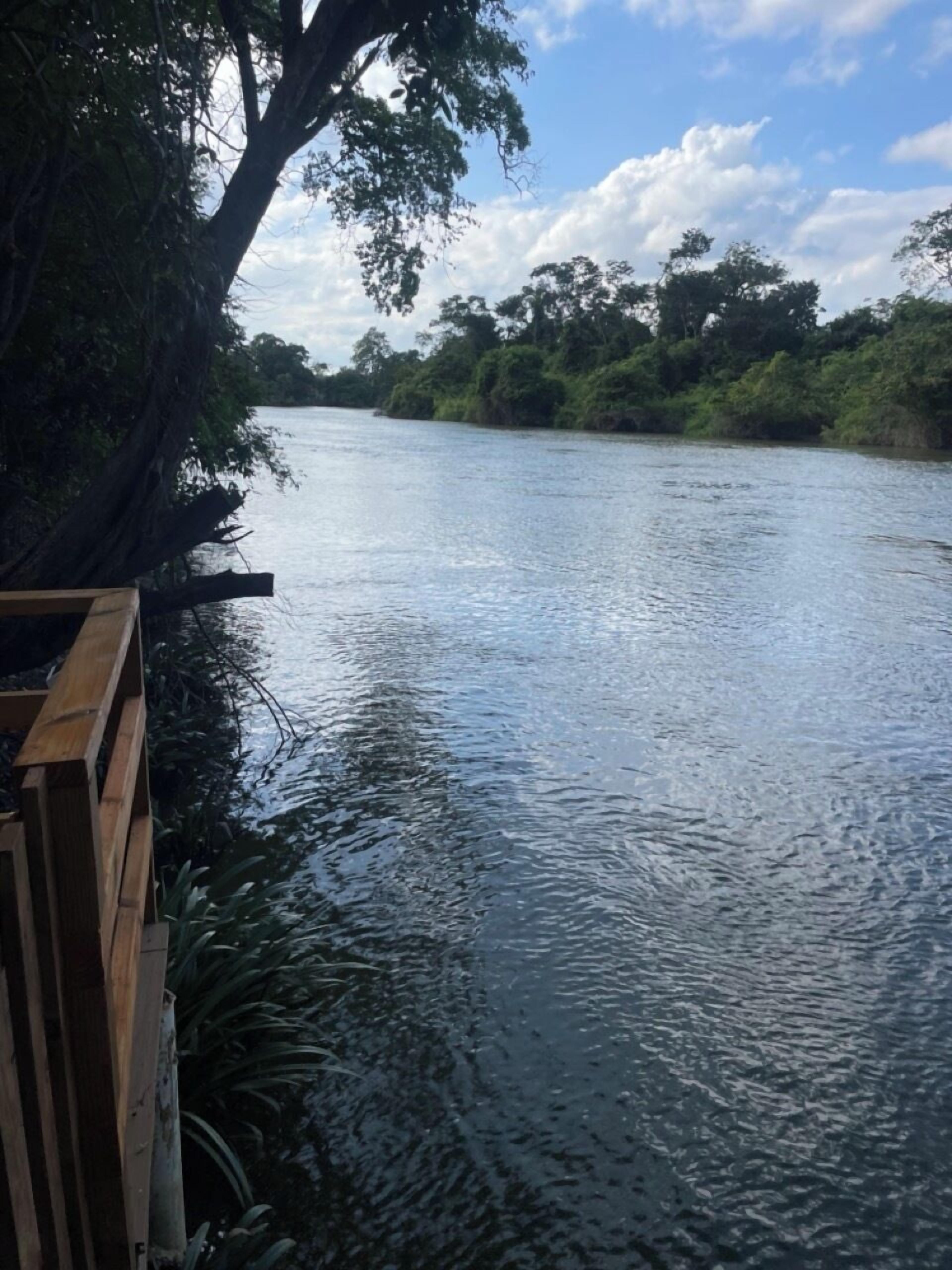 A river with a wooden dock extending into the water, surrounded by dense greenery and trees.