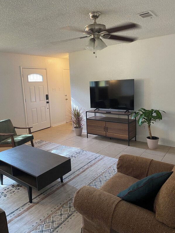 TV