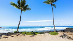 Une plage avec deux palmiers, une côte rocheuse et l’océan.