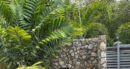 Unique eclectic 1-bedroom Cabin/St in San Andrés y Providencia, a nature wonder!