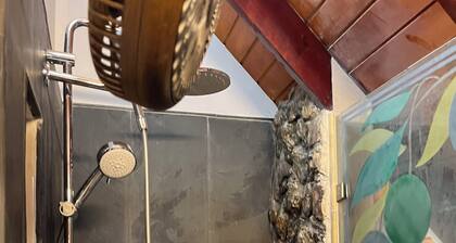 Unique eclectic 1-bedroom Cabin/St in San Andrés y Providencia, a nature wonder!