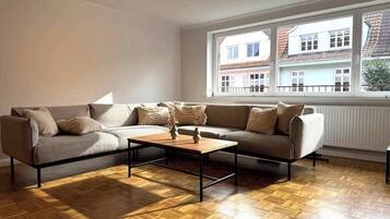Fernseher, Arbeitsbereiche