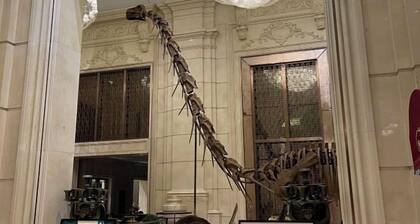 Evergrande Hotel,Tianjin Dongli Lake